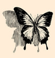 sketch a butterfly sitting on a wall vector image