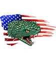 snake mascot with american flag on white vector image