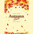 autumn sale poster vector image vector image
