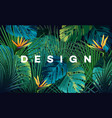 bright tropical background with jungle plants vector image vector image