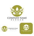 olive tree vector image