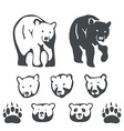 set of bears for emblems and labels vector image vector image