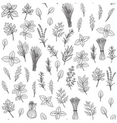 Black herbs seamless pattern Royalty Free Vector Image