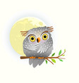 baby animal owl watching at night sitting vector image
