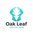 oak tree leaf logo design vector image vector image