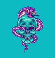 skull and snake vector image