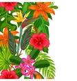 seamless vertical border with tropical plants vector image