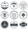 set of vintage style elements for labels vector image