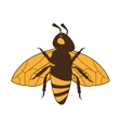 bee insect honey icon graphic vector image