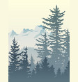vertical of foggy forest mountains vector image