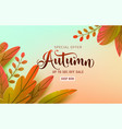 autumn poster background fall floral vector image vector image