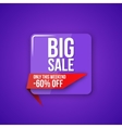sale special offer vector image vector image