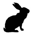 silhouette of a sitting up rabbit vector image