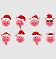 collection christmas pigs with santa hats symbol vector image