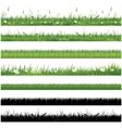 green grass collection vector image vector image