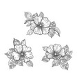 hand drawn floral set with dog- rose flowers vector image vector image