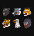 head of wild animal predator puma wolf fox tiger vector image