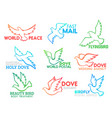 dove bird flying business design icons vector image