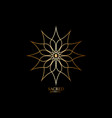 gold flower of life mandala sacred geometry vector image vector image