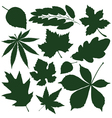 leaves vector image