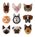 pets portrait flat icon set vector image