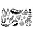 set of vegetables objects or elements vector image