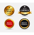 best choice label set vector image