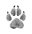 paw prints human prints vector image