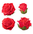 rose flower clip art vector image