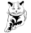 tabby cat vector image
