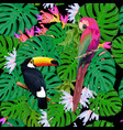 exotic birds seamless pattern vector image