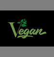 letter v with leaves and vegan text type word vector image