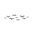 a flock of flying silhouette birds vector image vector image