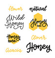 set honey lettering badges and calligraphy vector image vector image