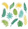 tropical leaves set vector image