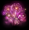 holiday festival pink firework independence day vector image vector image