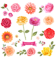 flowers set vector image