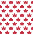 pattern with red maple leaves vector image vector image