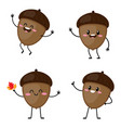 set of acorn caracters vector image