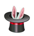 magic hat with rabbit vector image