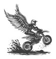 motocross wing vector image vector image