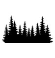 fir trees silhouettes coniferous spruce vector image vector image
