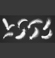 realistic white falling and twirled fluffy bird vector image