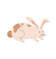 cute spotted rabbit isolated on white background vector image vector image