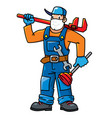 funny plumber or repairman with tools vector image