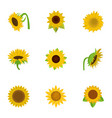 sunflower icons set cartoon style vector image