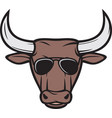 bull head with aviator sunglasses color vector image