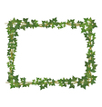 ivy square frame vector image
