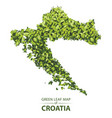 green leaf map croatia vector image