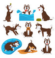 husky dog cartoon pet playing or training vector image